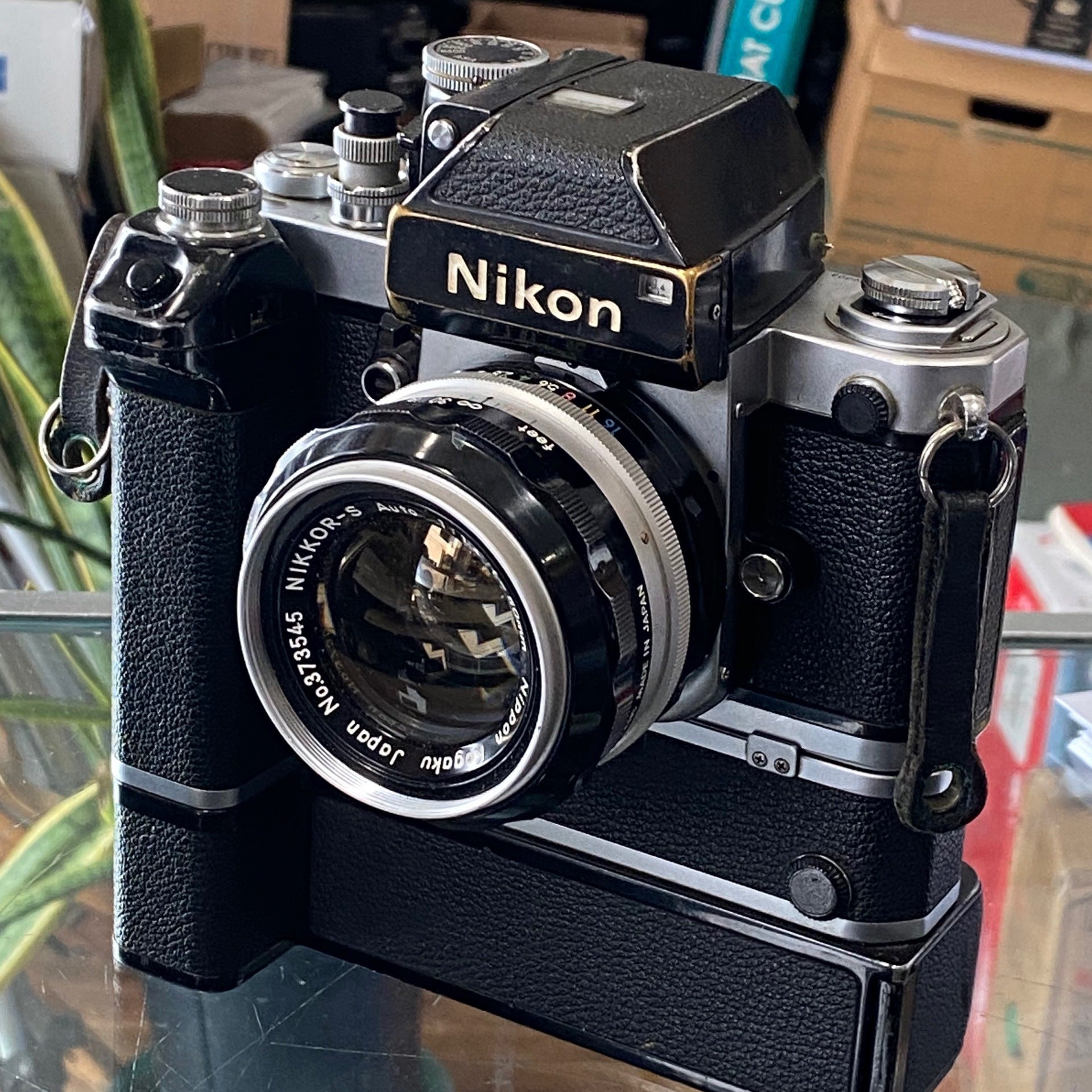 Nikon F2 50mm f1.4 MD-2 motordrive | Cafe Obscura Sudbury